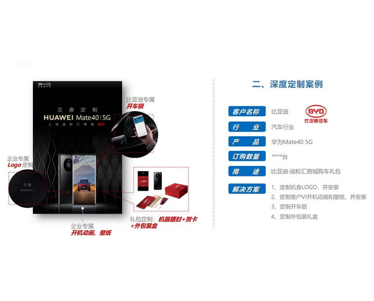 比亞迪深度定制案例